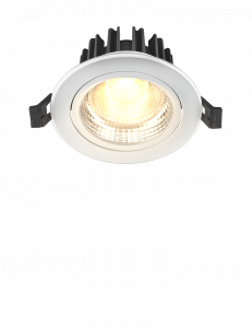 EGAN LED Downlighter-01