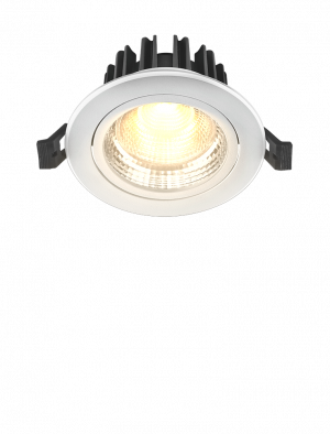 EGAN LED Downlighter-01