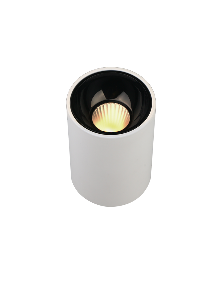 RIO SF – LED COB Downlighter - Tisva