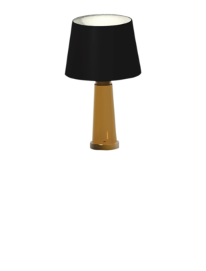 TG01H020